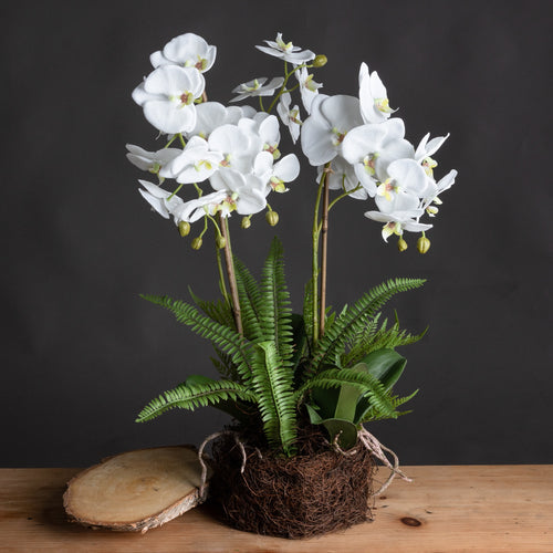 A large artificial white orchid and fern garden planted in a rootball, displayed on a wooden surface.