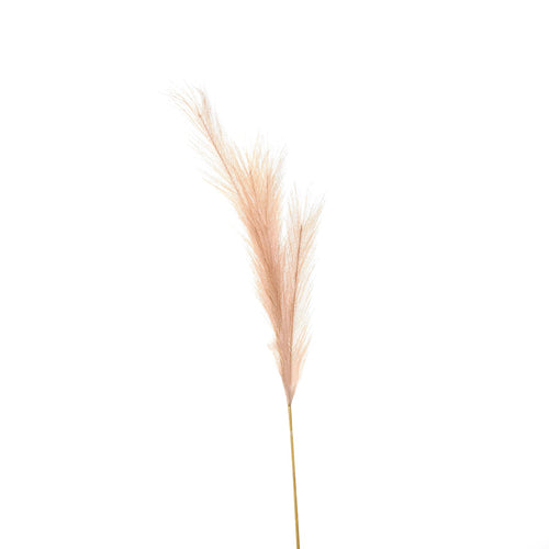 A faux pampas grass stem with beige tone and feathery plumes, isolated on a white background.