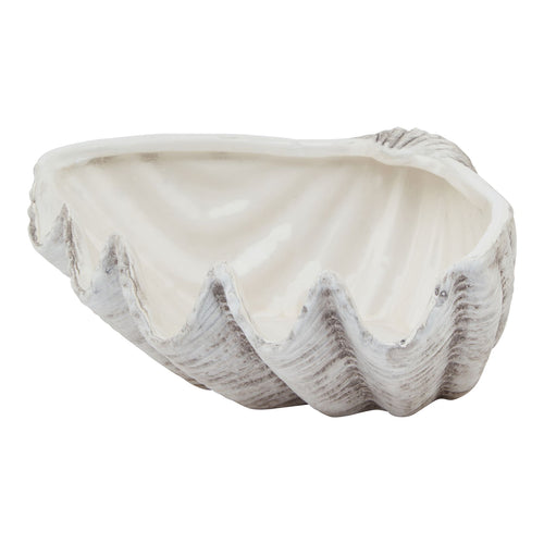 A medium ceramic shell bowl with a matte white finish, featuring a gracefully curved design and delicate ridges.
