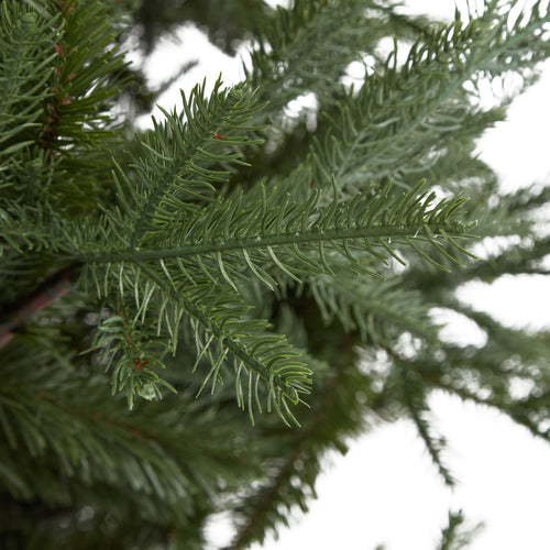 Close-up of green pine needles with a blurred background