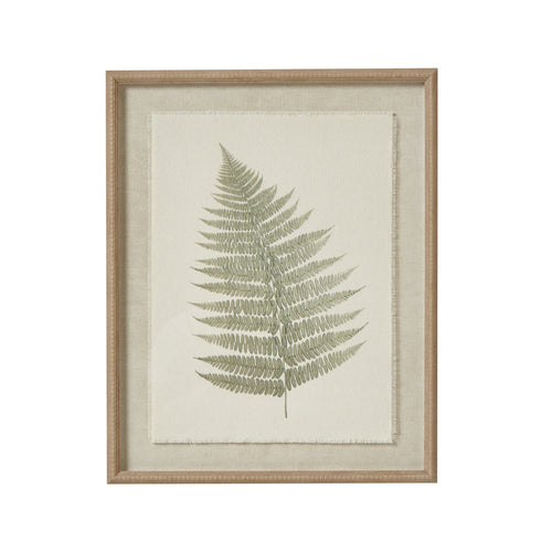 A framed botanical print of a bracken fern on textured, torn paper background.