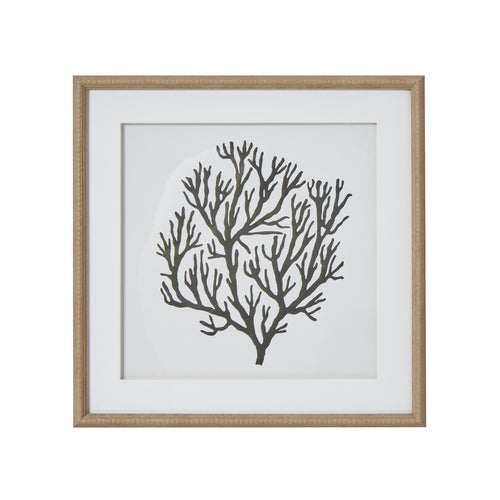 A black coral silhouette mounted on a white background, framed in a natural wooden frame with delicate beading.