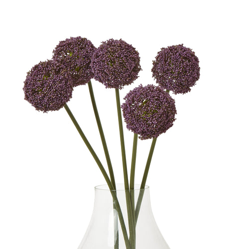 Purple Allium Stem - Five in a Vase View