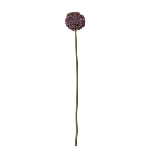 Purple Allium Stem - Full Flower View