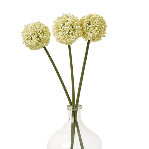 Cream Allium Stem- Three in a Vase View