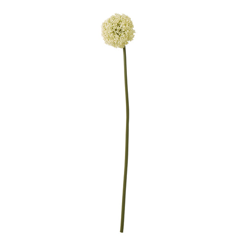 Cream Allium Stem - Single Flower View