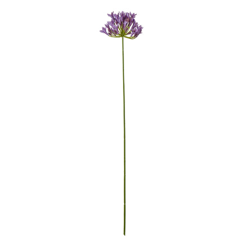 A single lilac Agapanthus flower with a green stem against a white background.