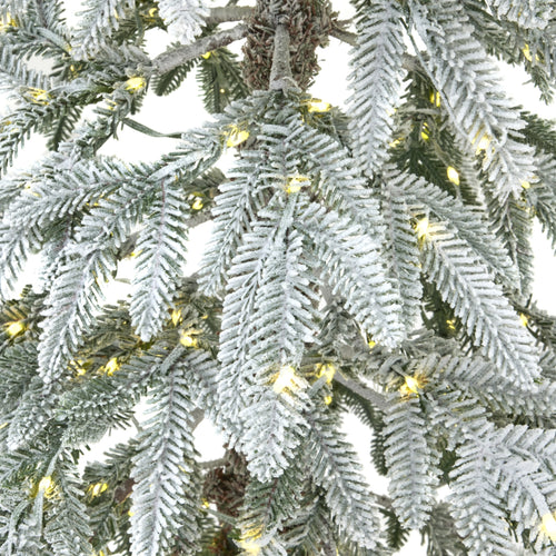 Frosted artificial Christmas tree with lights on a white background