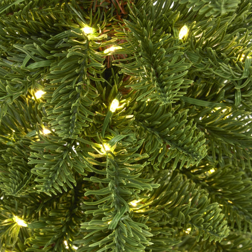 Close-up of a Christmas tree with lights on a green background