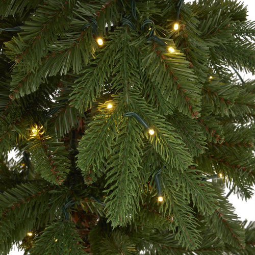 Close-up of a Christmas tree with lights on green branches