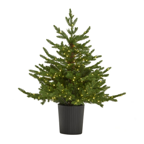Potted Christmas tree with lights on a white background