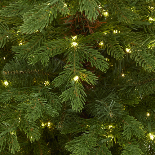 Close-up of a Christmas tree with lights on a green background