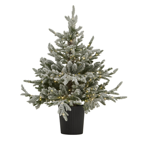 Potted Christmas tree with lights on a white background