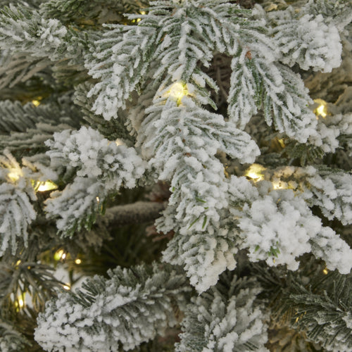 Frosted Christmas tree with lights on a dark background