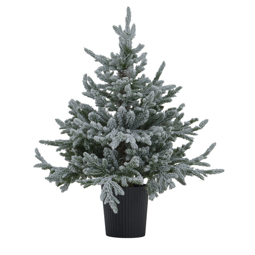 Potted Christmas tree with a white background