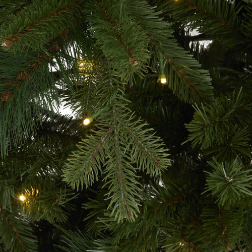 Close-up of a Christmas tree with lights and green needles