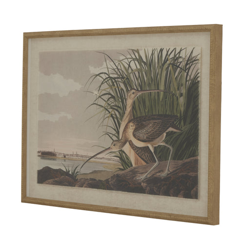 A framed artwork depicting two curlews on a linen background with a beaded frame.
