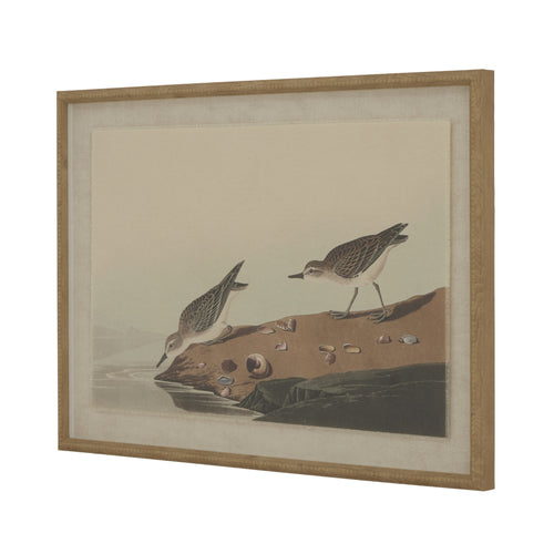 A framed artwork depicting two birds on a naturalistic background, housed in a beaded frame.