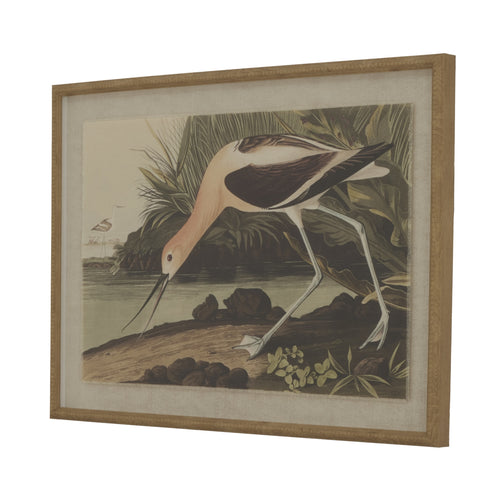 A framed artwork depicting an Avocet bird on a linen background with a beaded frame.