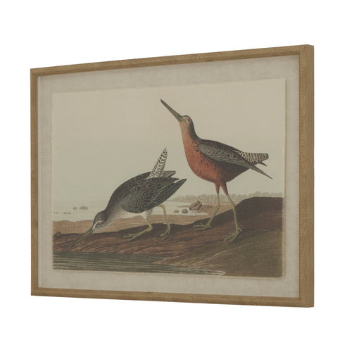 A framed artwork depicting two snipes on a linen background with a beaded frame.