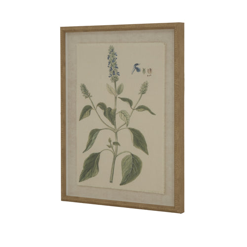A botanical print of Salvia on linen with a beaded frame.